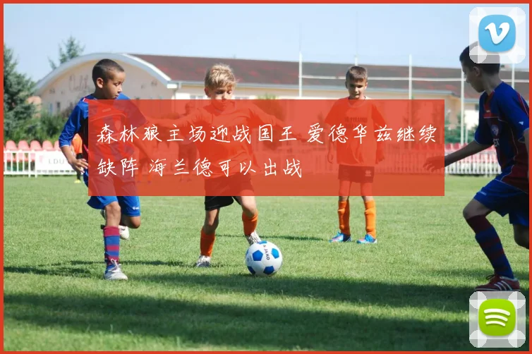 森林狼主场迎战国王 爱德华兹继续缺阵 海兰德可以出战
