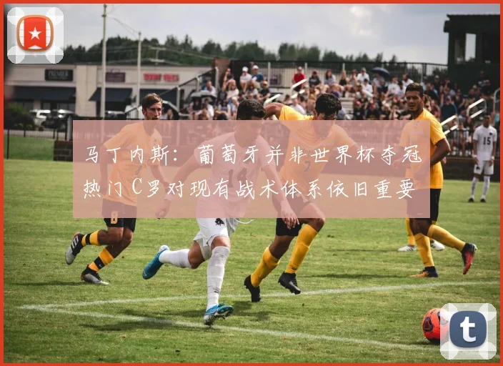 马丁内斯：葡萄牙并非世界杯夺冠热门 C罗对现有战术体系依旧重要(1)