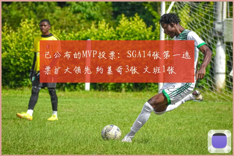 已公布的MVP投票：SGA14张第一选票扩大领先 约基奇3张 文班1张
